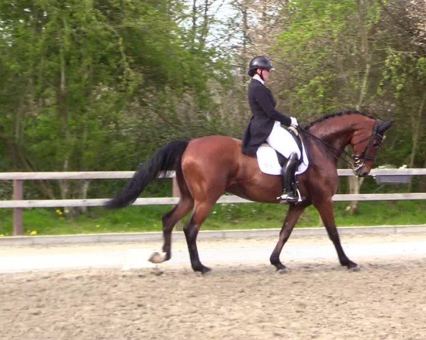 Reitturnier Ladelunder Turniertage 2024