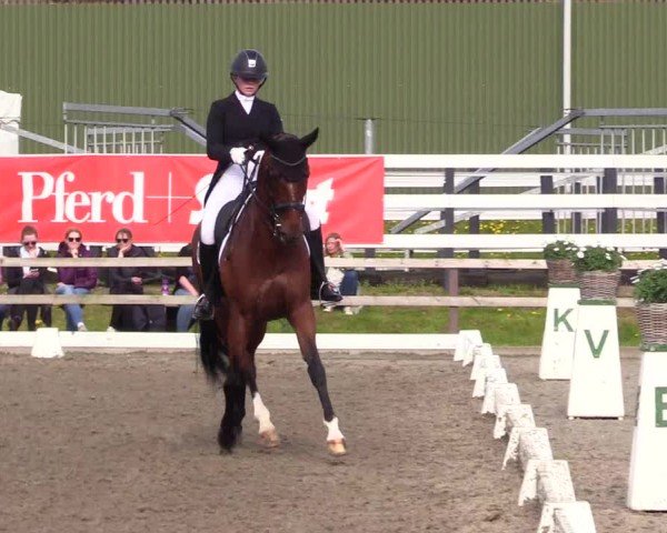 Reitturnier Ladelunder Turniertage 2024
