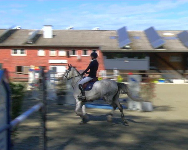 Reitturnier Heiden 2024