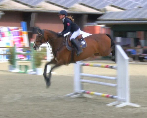 Reitturnier Heiden 2024