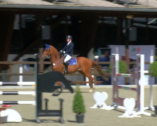 Reitturnier Heiden 2024