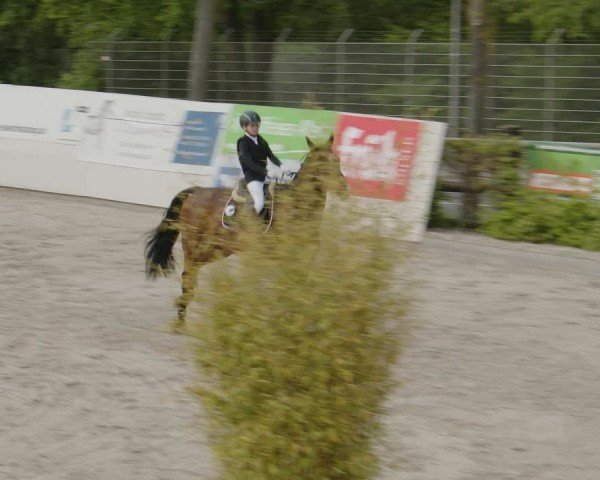 Reitturnier Monheim - Gut Blee 2024