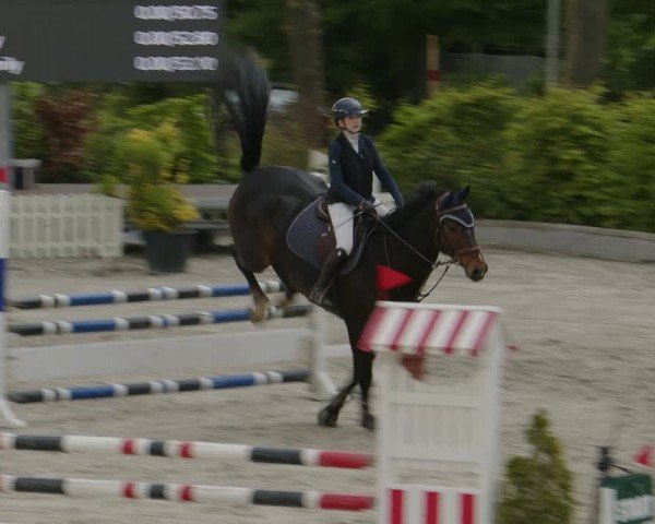 Reitturnier Monheim - Gut Blee 2024