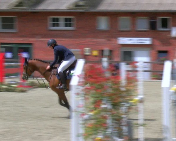 Reitturnier Heiden 2024