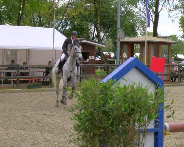 Reitturnier Heiden 2024