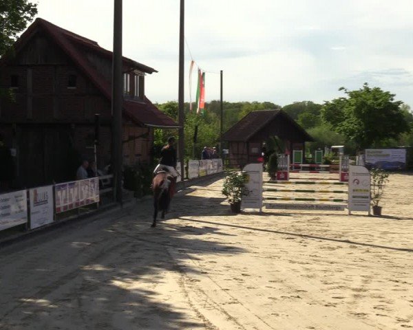 Reitturnier Nienberge 2024