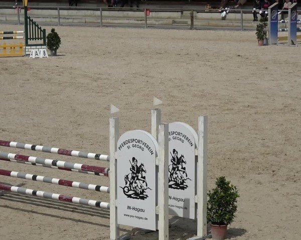 Reitturnier Ingolstadt-Hagau/Obb. 2024