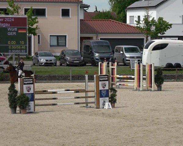Reitturnier Ingolstadt-Hagau/Obb. 2024