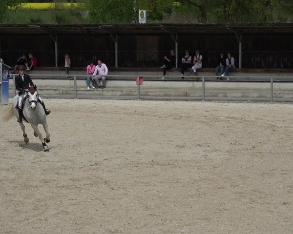 Reitturnier Ingolstadt-Hagau/Obb. 2024