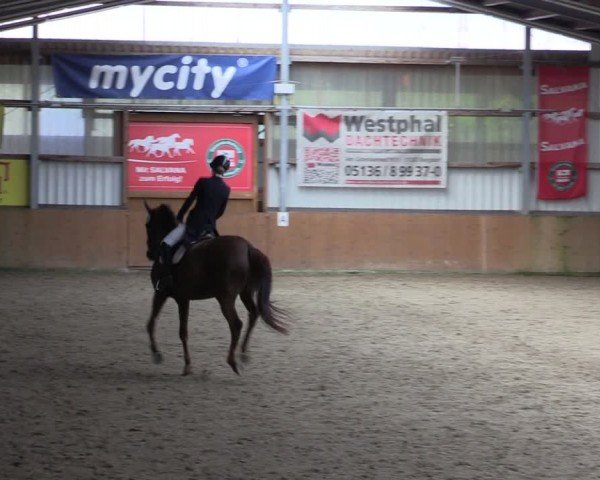 Reitturnier Schlieckau 2024