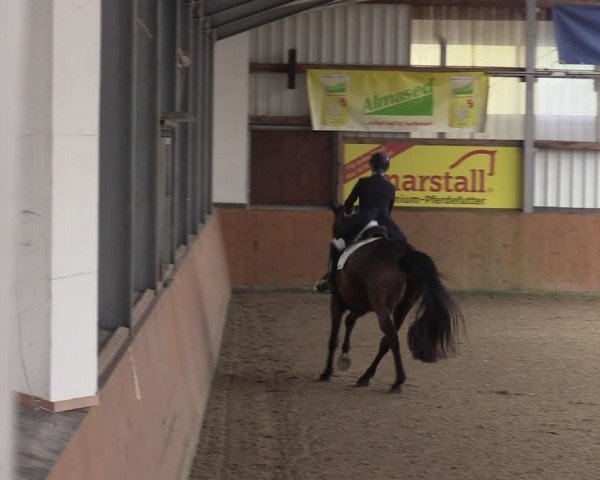 Reitturnier Schlieckau 2024