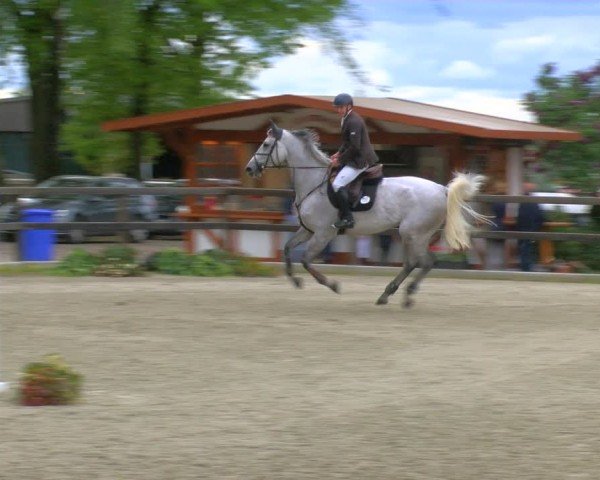 Reitturnier Heiden 2024