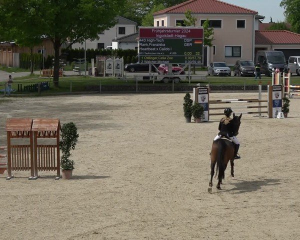 Reitturnier Ingolstadt-Hagau/Obb. 2024