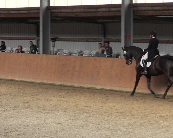 Reitturnier Schlieckau 2024