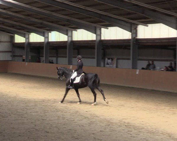 Reitturnier Schlieckau 2024