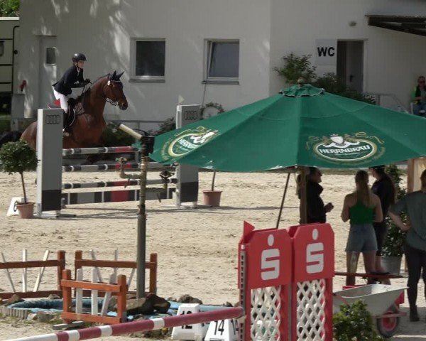 Reitturnier Ingolstadt-Hagau/Obb. 2024