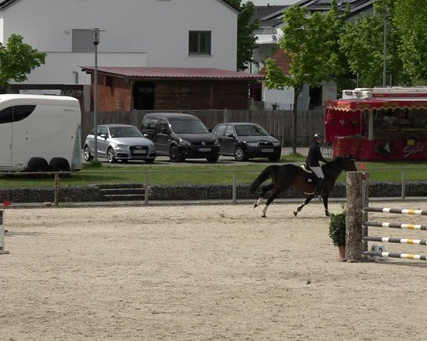 Reitturnier Ingolstadt-Hagau/Obb. 2024