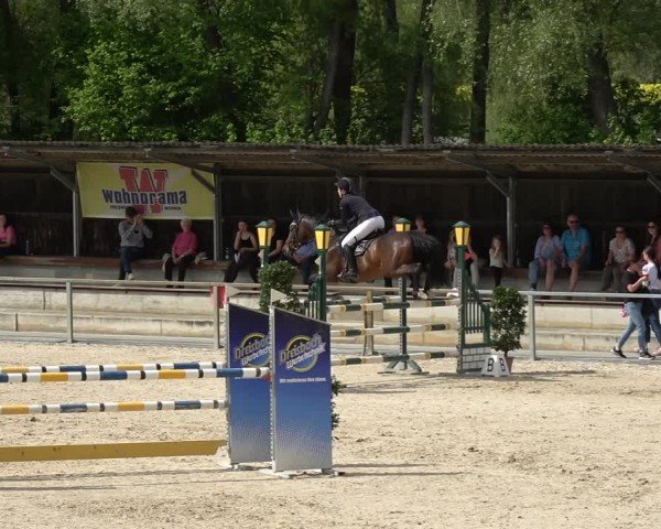 Reitturnier Ingolstadt-Hagau/Obb. 2024