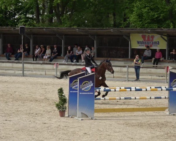 Reitturnier Ingolstadt-Hagau/Obb. 2024
