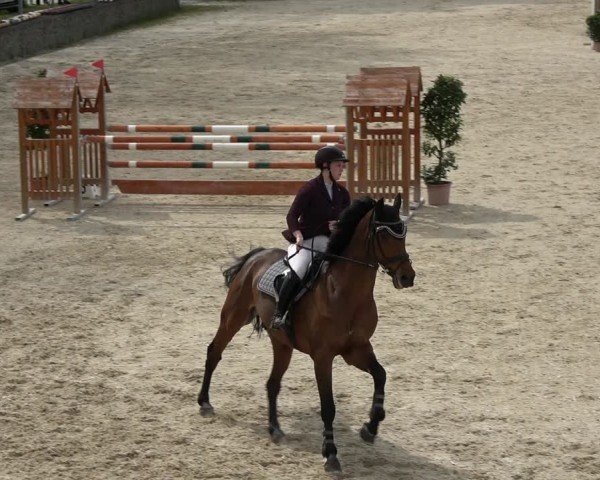 Reitturnier Ingolstadt-Hagau/Obb. 2024
