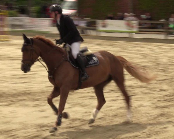 Reitturnier Nienberge 2024