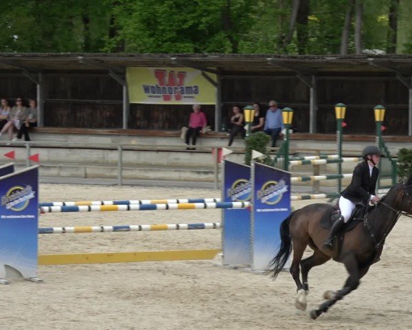 Reitturnier Ingolstadt-Hagau/Obb. 2024