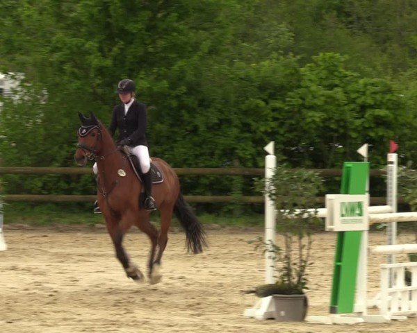 Reitturnier Nienberge 2024