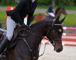 jumper Sligo Candy Star (Irish Sport Horse, 2019, from Sligo Candy Boy)