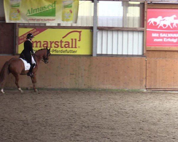 Reitturnier Schlieckau 2024