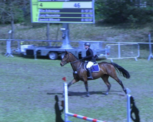 Reitturnier Colbitz 2024