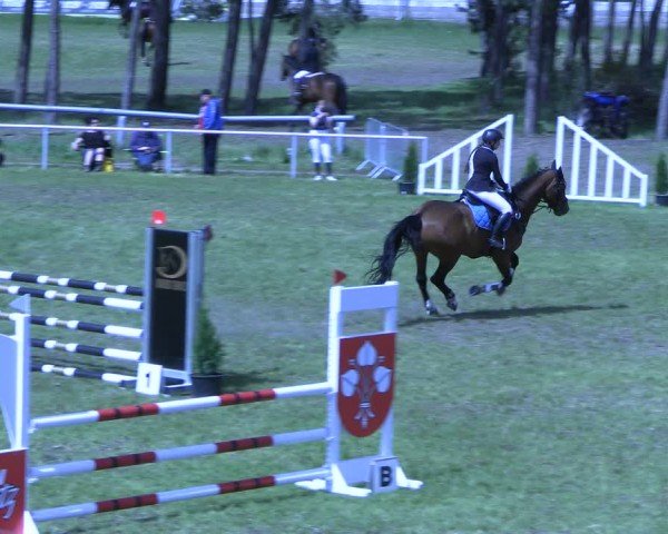 Reitturnier Colbitz 2024