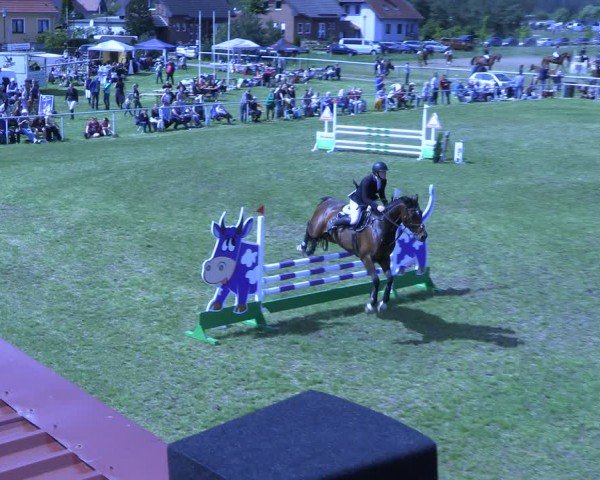 Reitturnier Colbitz 2024