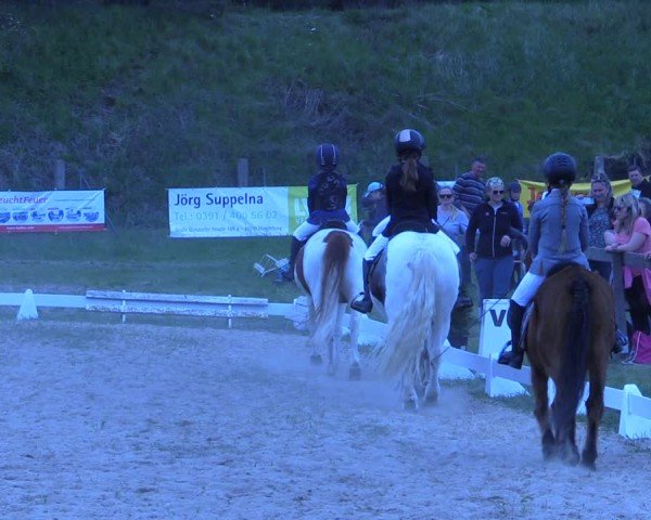 Reitturnier Colbitz 2024