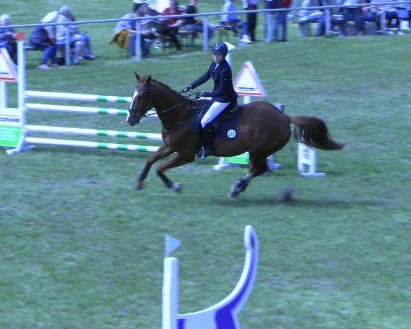 Reitturnier Colbitz 2024