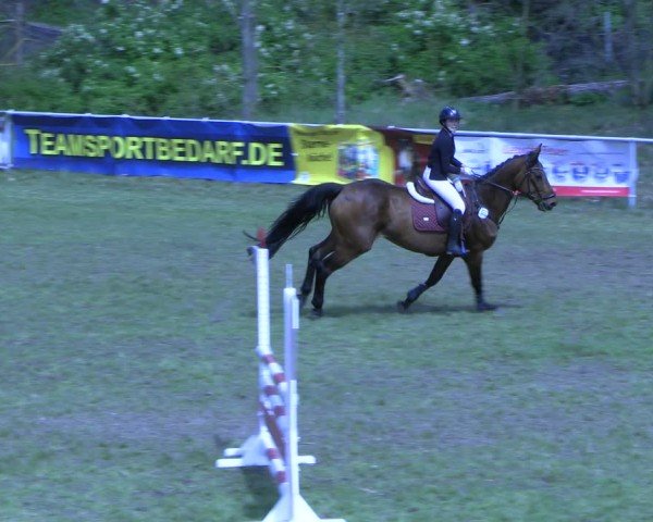 Reitturnier Colbitz 2024