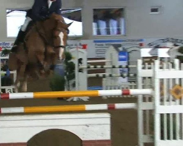 Voßwinkeler Hallenreitertage 2012