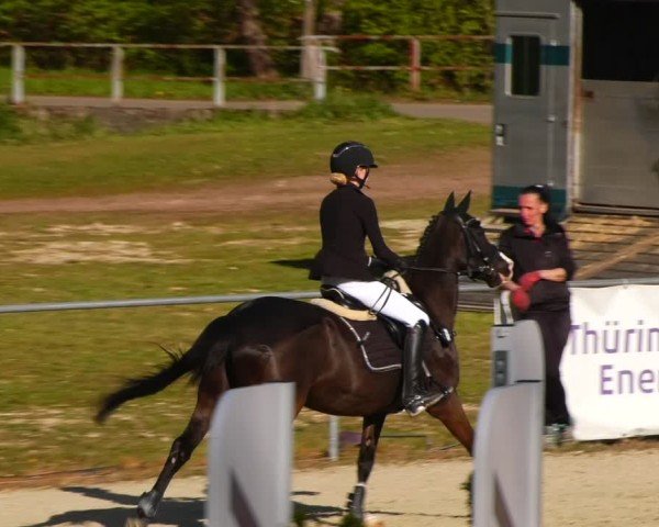 Reitturnier Bad Liebenstein/Sorga 2024