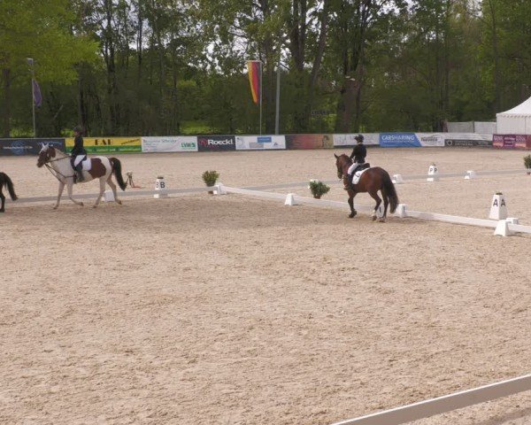 Reitturnier Karlsfeld/Obb. 2024