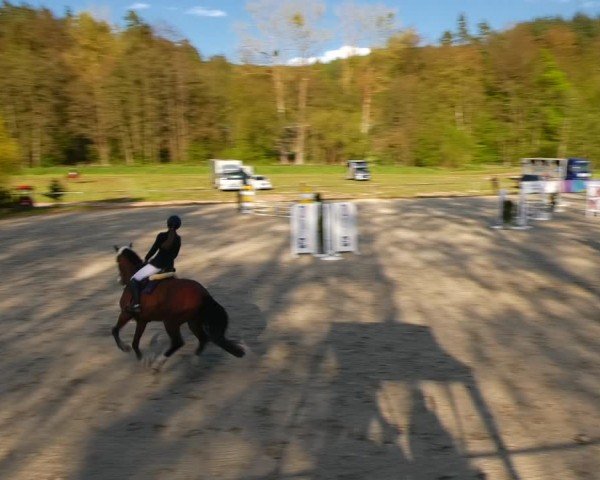 Reitturnier Bad Liebenstein/Sorga 2024