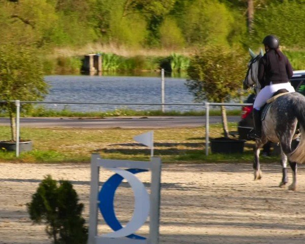 Reitturnier Bad Liebenstein/Sorga 2024