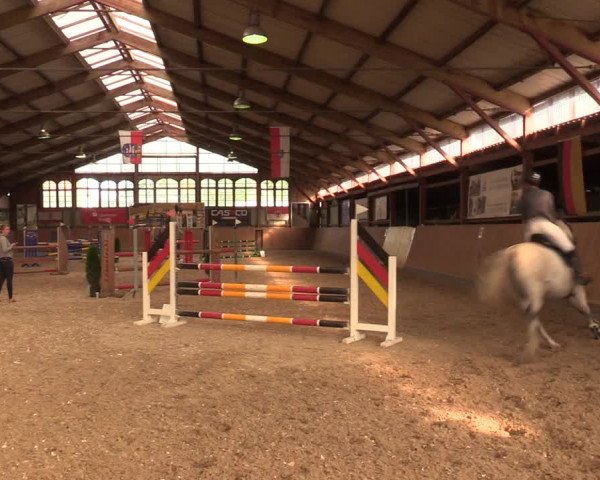 Reitturnier Elisenau 2021