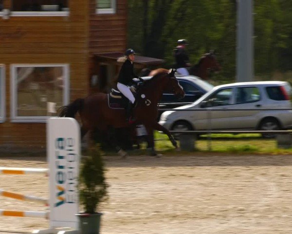 Reitturnier Bad Liebenstein/Sorga 2024