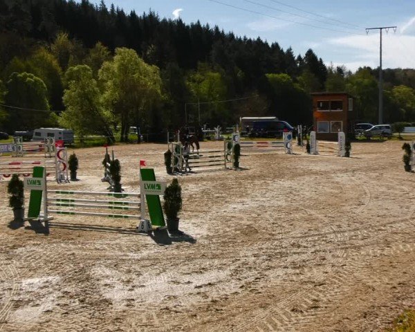Reitturnier Bad Liebenstein/Sorga 2024