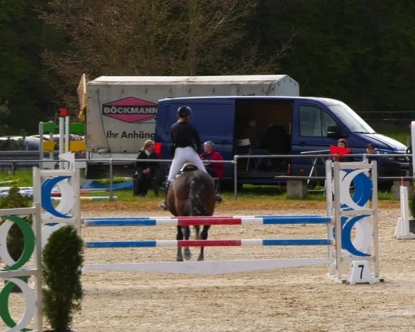 Reitturnier Bad Liebenstein/Sorga 2024