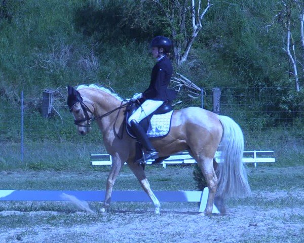 Reitturnier Colbitz 2024