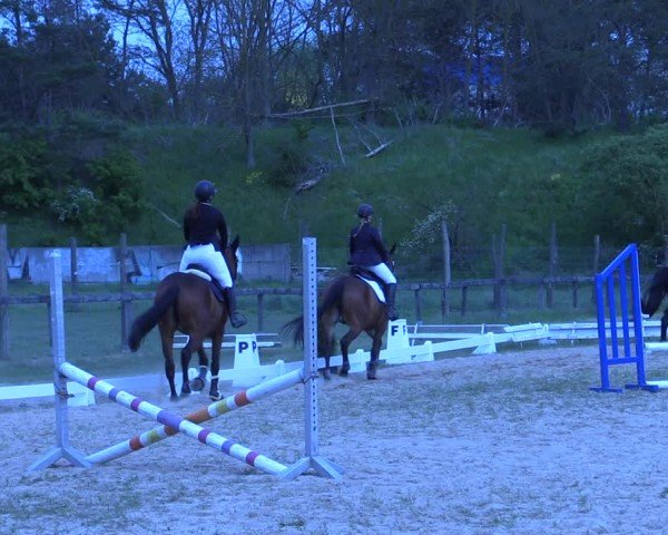 Reitturnier Colbitz 2024