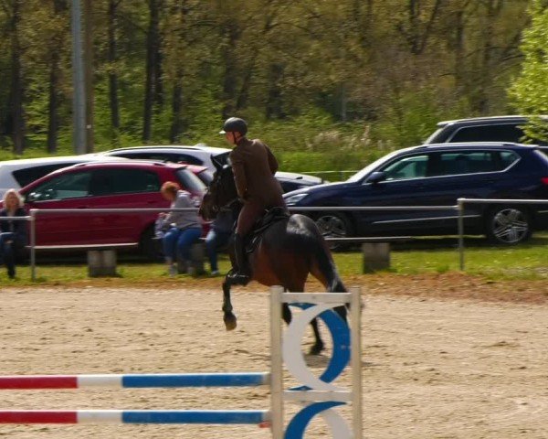 Reitturnier Bad Liebenstein/Sorga 2024
