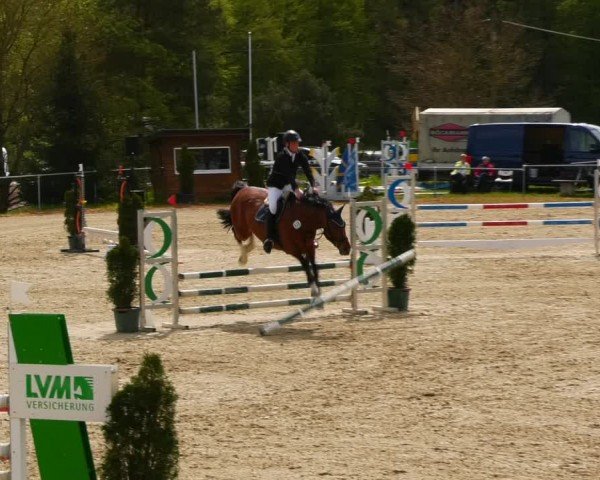 Reitturnier Bad Liebenstein/Sorga 2024