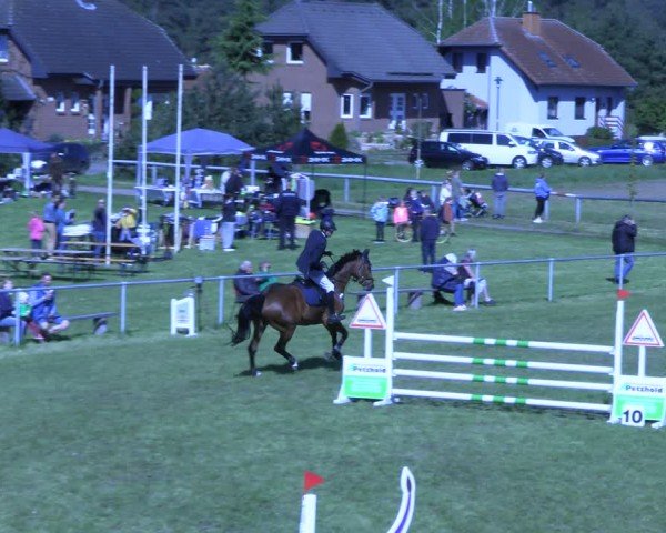 Reitturnier Colbitz 2024