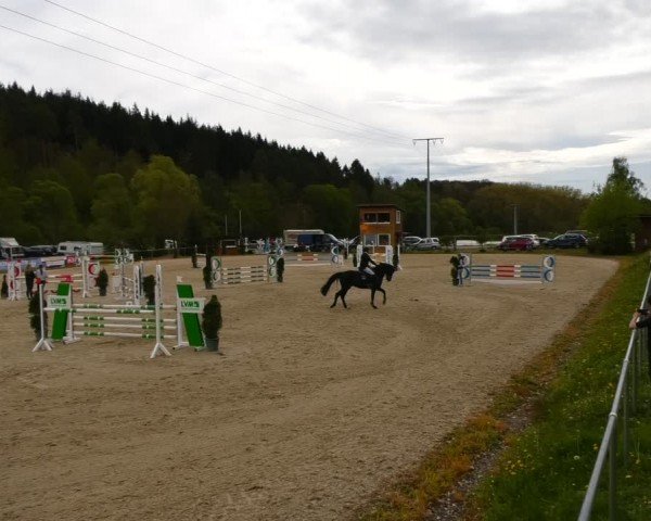 Reitturnier Bad Liebenstein/Sorga 2024